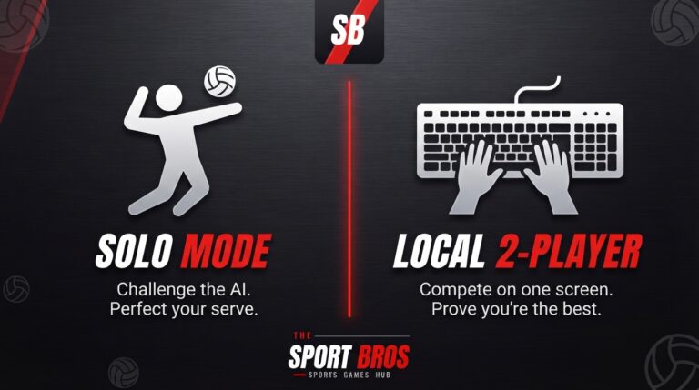 Volleyball Bros Game Modes