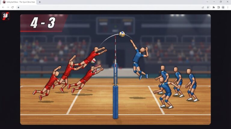 What Is Volleyball Bros?