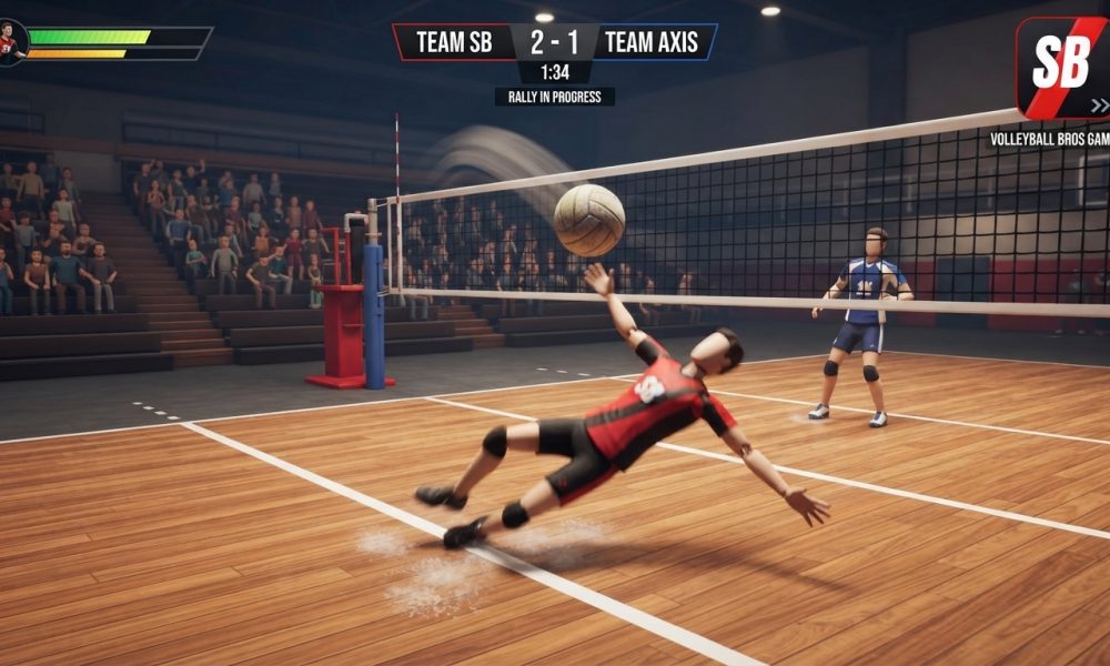 How to Play Volleyball Bros